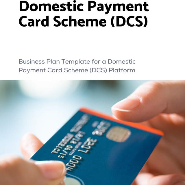 Business Plan Template for a Domestic Payment Card Scheme (DCS) Platform